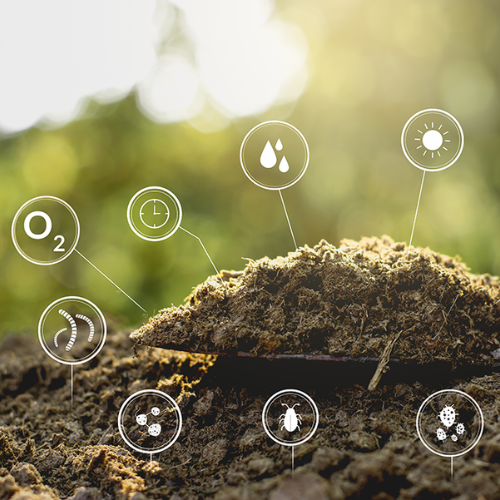 Aerobic Composting Process